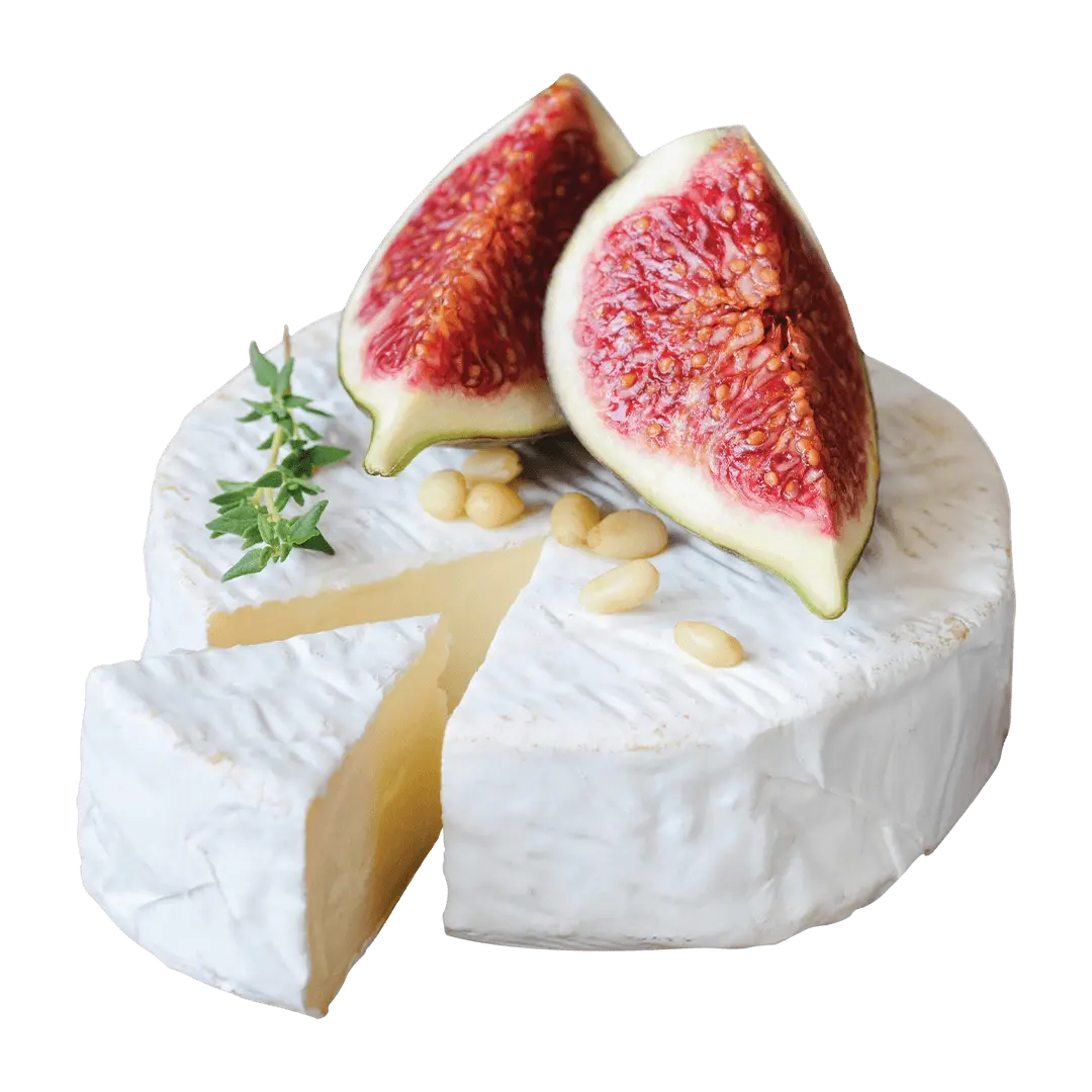 Image of a wheel of Brie with a slice cut out and two fig slices on top of the wheel.